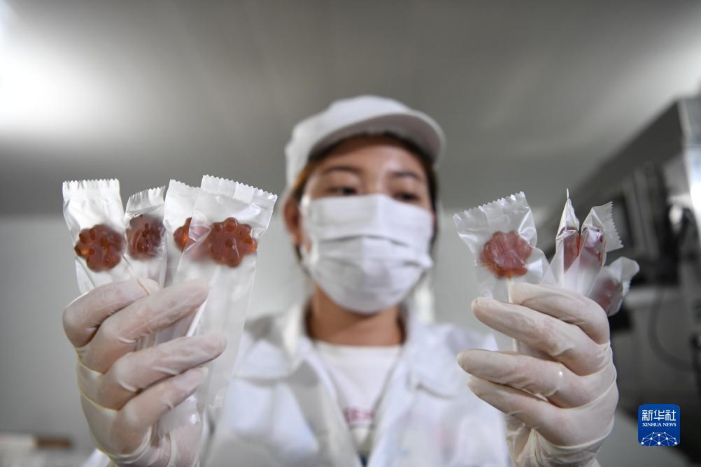 博悦网登录地址